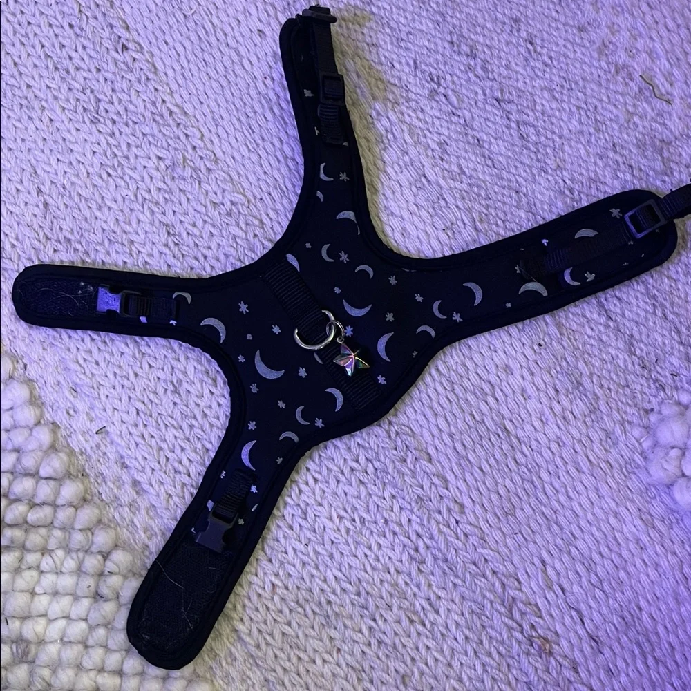 Moon & Stars Kitten Harness